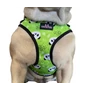Obraz 1/2 - Panda komfortný postroj pre psy 5-10 kg, zelený