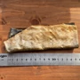 Obraz 3/3 - Koža vlčieho morského vlka 60 g, HAPPY BULLDOG