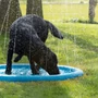 Obraz 3/4 - CoolPets Splash striekajúca chladiaca podložka pre psov – Veľkosť S, priemer 100 cm