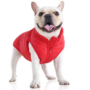 Obraz 1/5 - Vodeodolný kabát pre psa bez srsti, červený, XL (veľkosť francúzskeho buldočka)