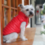 Obraz 5/5 - Vodeodolný kabát pre psa bez srsti, červený, XL (veľkosť francúzskeho buldočka)