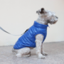 Obraz 4/4 - Vodeodolný kabát pre psa bez srsti, modrý, XL (veľkosť francúzskeho buldočka)