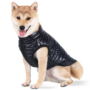 Obraz 1/4 - Vodeodolný kabát pre psa bez srsti, čierny, XL (veľkosť francúzskeho buldočka)