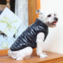 Obraz 3/4 - Vodeodolný kabát pre psa bez srsti, čierny, XL (veľkosť francúzskeho buldočka)