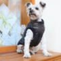Obraz 4/4 - Vodeodolný kabát pre psa bez srsti, čierny, XL (veľkosť francúzskeho buldočka)