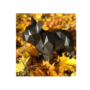 Obraz 3/8 - Súprava 3D papierových sôch francúzskeho buldočka, čierna