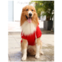 Obraz 2/2 - Červený sveter pre psov BASIC, XXL