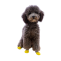 Obraz 3/3 - Kačacie žlté ponožky pre psov s protišmykovou podrážkou, veľkosť S