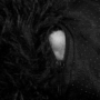 Obraz 10/12 - Čierny, extra mäkký, chlpatý pelech pre domáce zvieratá - 70 cm