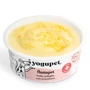 Obraz 2/2 - Yogupet Functional Jogurt Flamapet - Podpora pokožky, srsti a trávenia s kurkumou, medom a kolagénom
