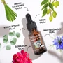 Obraz 3/4 - Tickless® Herbal Shield Spot-on – 100 % prírodná zmes éterických olejov pre psov